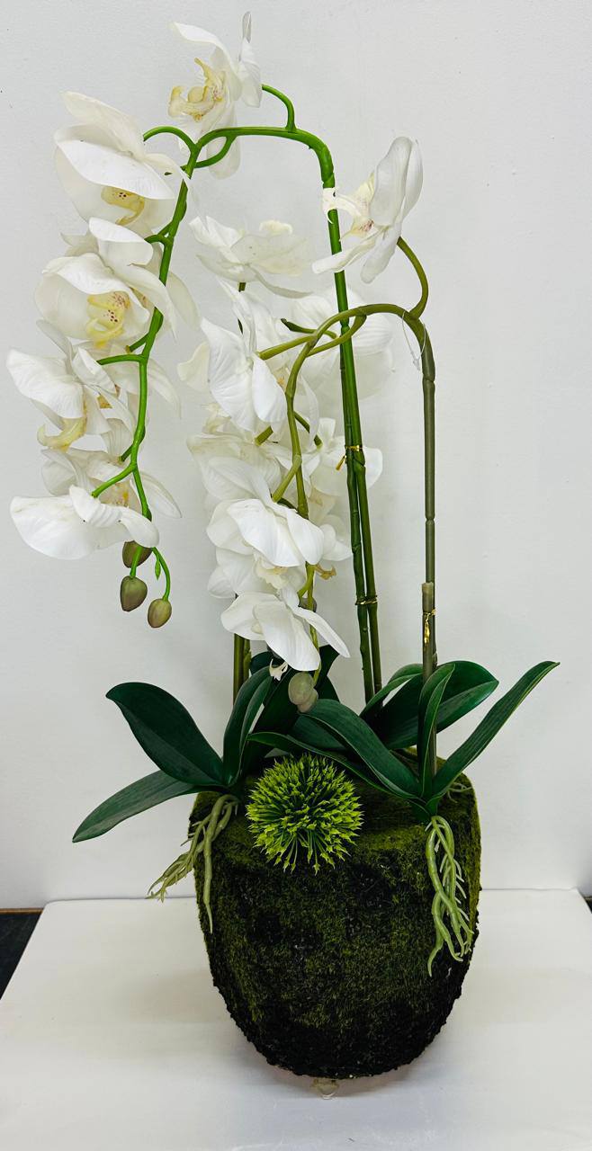 FLORES